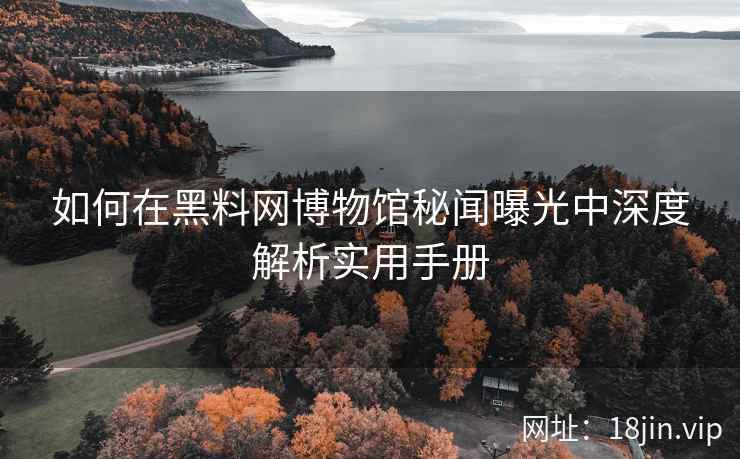 如何在黑料网博物馆秘闻曝光中深度解析实用手册