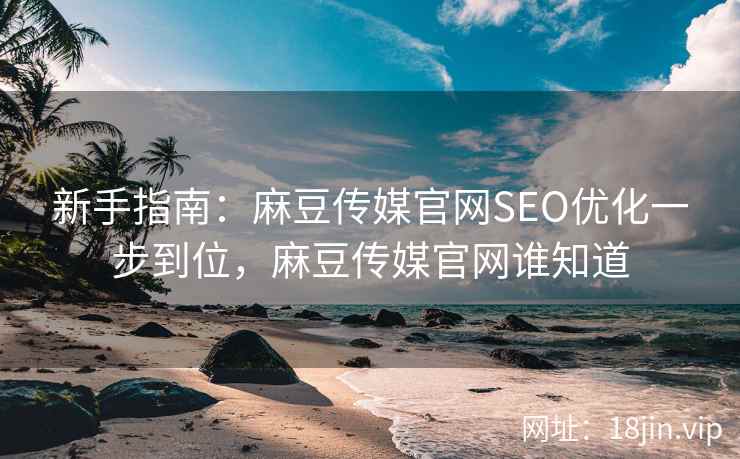 新手指南：麻豆传媒官网SEO优化一步到位，麻豆传媒官网谁知道  第2张