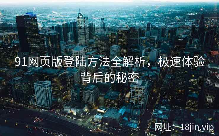 91网页版登陆方法全解析，极速体验背后的秘密  第2张