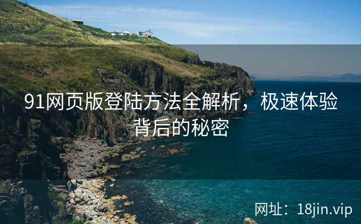 91网页版登陆方法全解析，极速体验背后的秘密  第1张