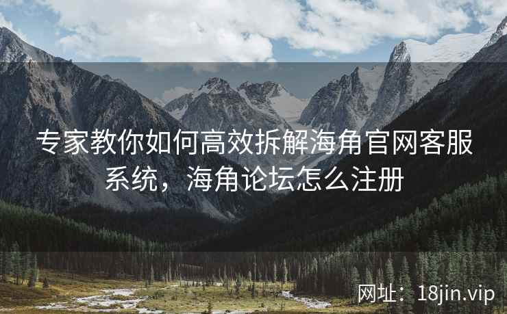 专家教你如何高效拆解海角官网客服系统，海角论坛怎么注册  第2张