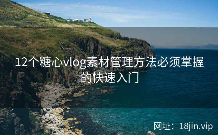 12个糖心vlog素材管理方法必须掌握的快速入门