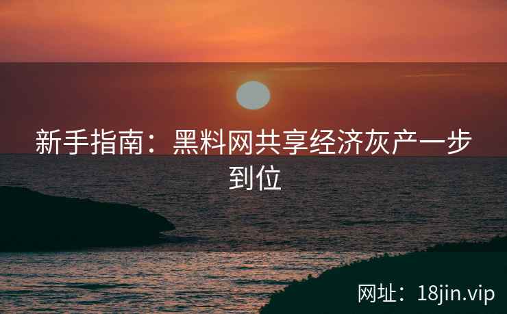 新手指南：黑料网共享经济灰产一步到位  第2张