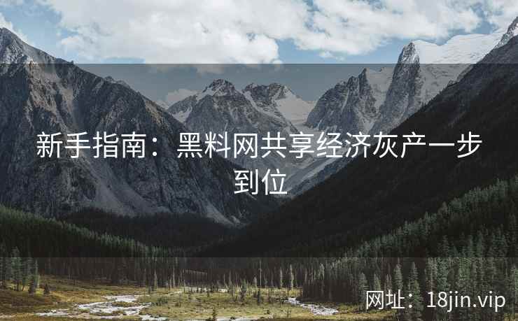 新手指南：黑料网共享经济灰产一步到位