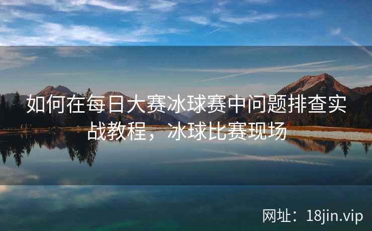 如何在每日大赛冰球赛中问题排查实战教程，冰球比赛现场  第1张
