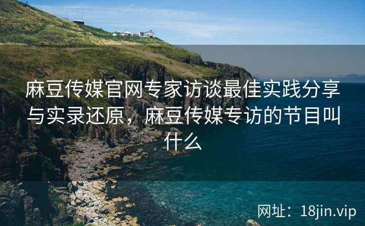 麻豆传媒官网专家访谈最佳实践分享与实录还原，麻豆传媒专访的节目叫什么  第1张